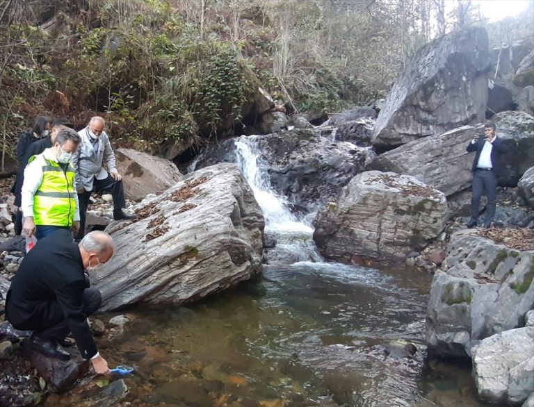 Giresun'da selde zarar gören alabalık popülasyonu için derelere 25 bin yavru salındı
