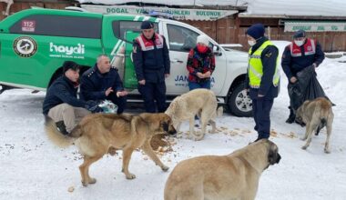 KÜMBET’TEKİ KÖPEKLERİ BESLEDİLER