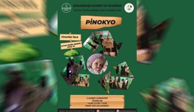 Pinokyo, Fatma Zehra İçin Sahneye Çıkıyor