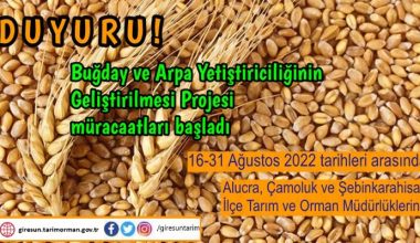 BUĞDAY VE ARPA YETİŞTİRİCİLİĞİ İÇİN HİBE.. BUĞDAY VE ARPA YETİŞTİRİCİLİĞİ İÇİN HİBE..