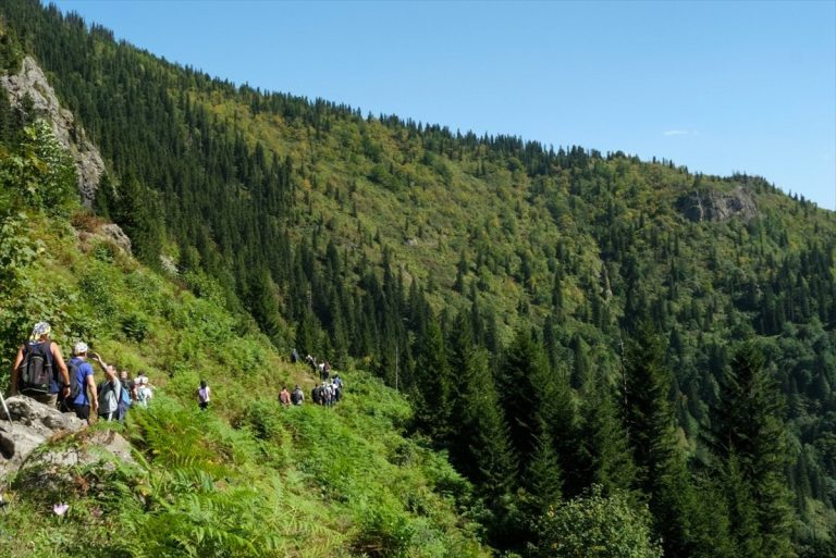 Giresun'da “otçu göçü” yolları gün yüzüne çıkarılıyor