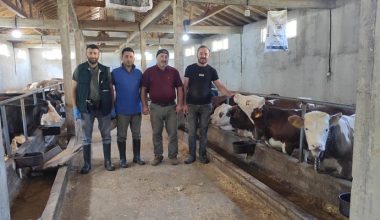 BESİ SIĞIRCILIĞI İÇİN DÜĞMEYE BASILDI