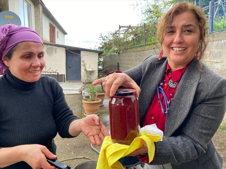 Giresun'da isabella cinsi üzümün pekmeze yolculuğu başladı