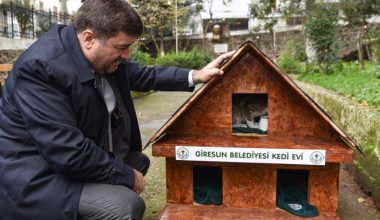 ŞENLİKOĞLU’NDAN ÖRNEK PROJE