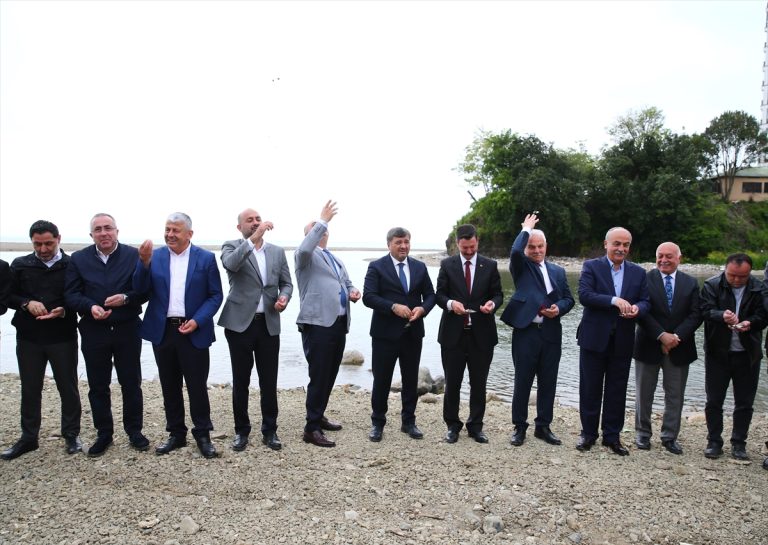 Giresun'da “mayıs yedisi” geleneği çeşitli ritüellerle yaşatıldı