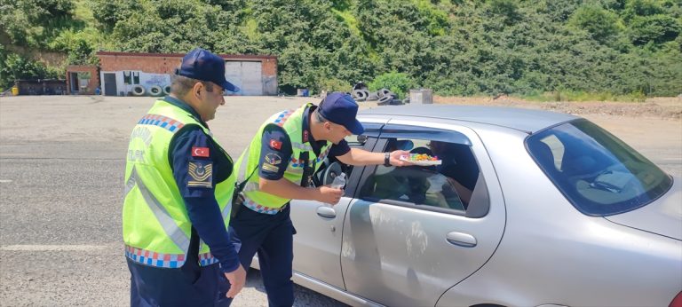Espiye'de jandarmadan trafik denetimi
