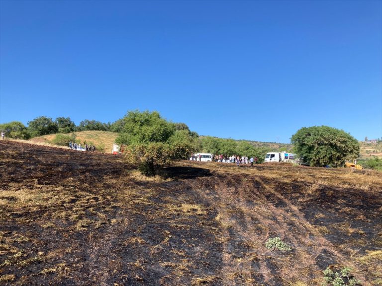 Giresun'da buğday ekili tarla yandı