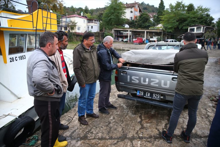 Giresun'da denizdeki ayı yavrusu balıkçılar tarafından kurtarıldı