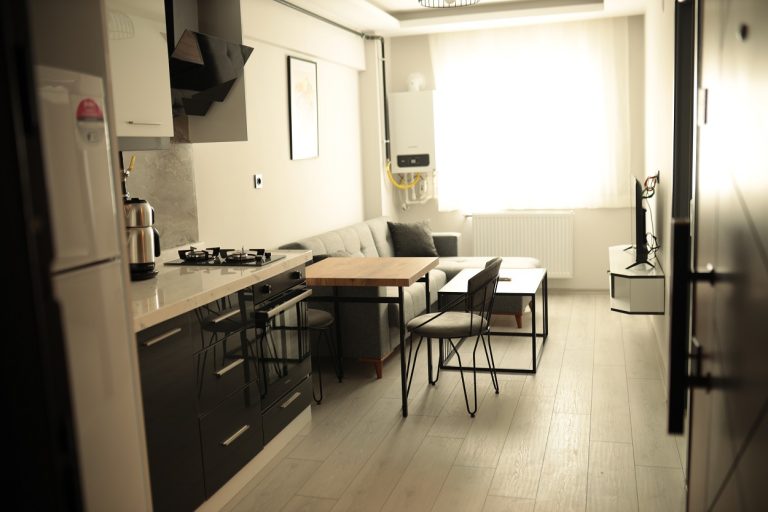 Aydın 1+1 Kiralık Daire