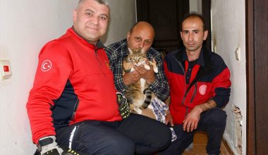 Giresun'da apartman bacasına sıkışan kedi itfaiye tarafından kurtarıldı