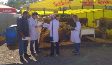 KURBANLIKLARDA ŞAP AŞISI UYARISI