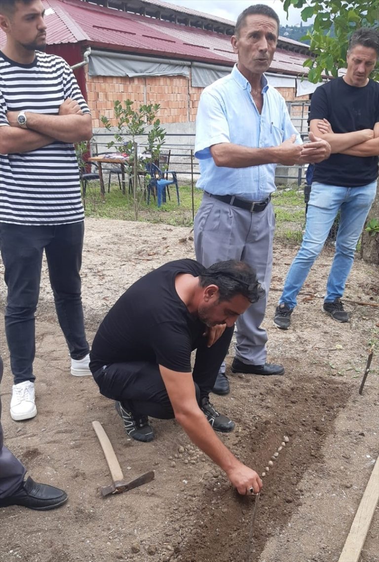 Giresun'da çiftçilere hibe destekli 1325 kilogram salep yumrusu dağıtıldı