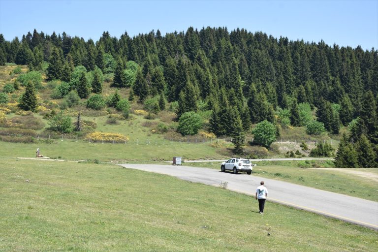 Kulakkaya Yaylası eşsiz tabiatı ve temiz havasıyla doğaseverleri ağırlıyor