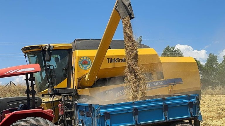 Şebinkarahisar'da çiftçiler devlet desteğiyle alınan biçerdöverden ücretsiz faydalanıyor
