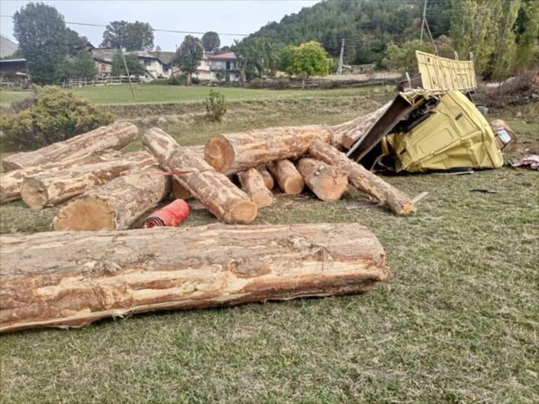 Giresun'da tomruk yüklü kamyon devrildi
