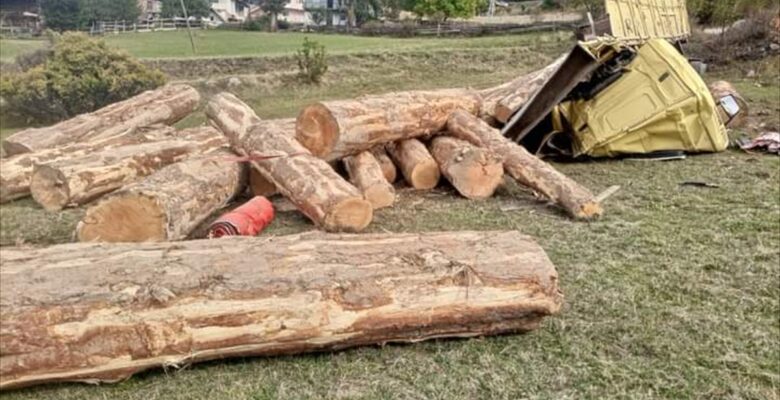 Giresun'da tomruk yüklü kamyon devrildi