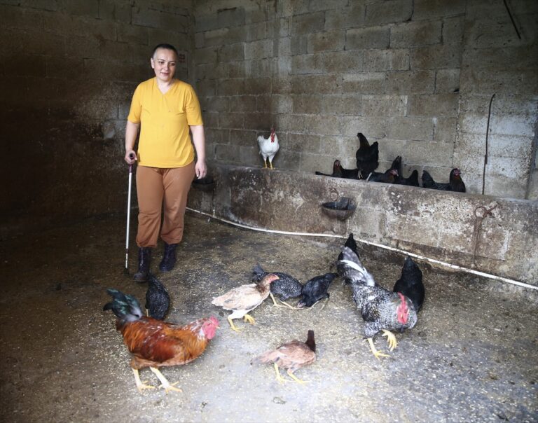 Yürüme engelli kadın, hayvancılık sayesinde yaşama bağlandı
