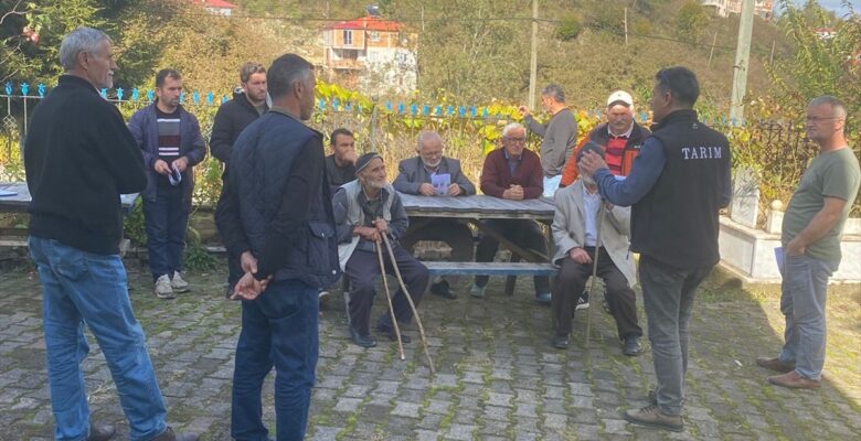 Espiye'de kahverengi kokarca ile mücadele toplantısı düzenlendi