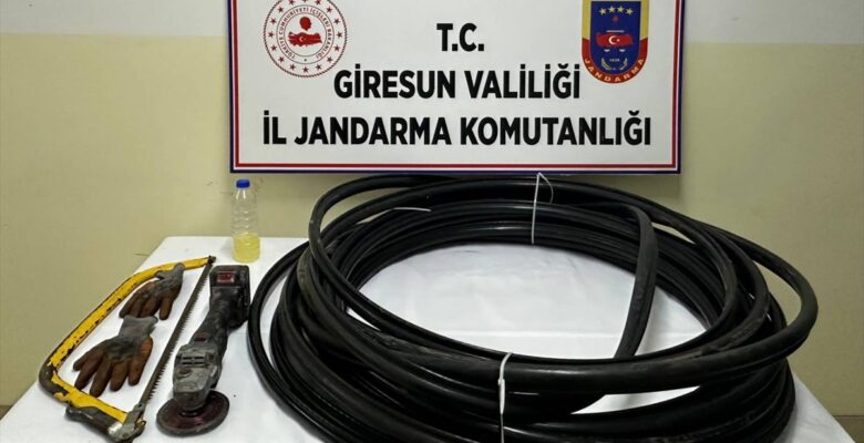 Giresun'da kablo hırsızlığı iddiasıyla 1 kişi tutuklandı