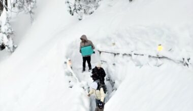 Doğu Karadeniz'de kar ve soğuk hava etkili oluyor