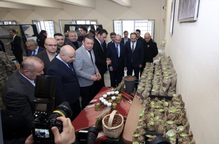 Giresun'da cezaevinde fındık işleme atölyesi açıldı Giresun'da cezaevinde fındık işleme atölyesi açıldı