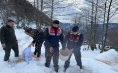 Giresun'da yaban hayvanları için doğaya yem bırakıldı