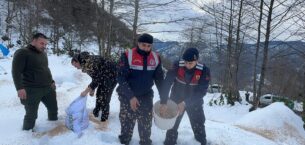 Giresun'da yaban hayvanları için doğaya yem bırakıldı