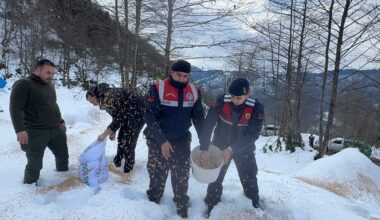 Giresun'da yaban hayvanları için doğaya yem bırakıldı