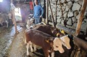 BUZAĞI VE MALAK SAHİPLERİNE ÖDEME MÜJDESİ