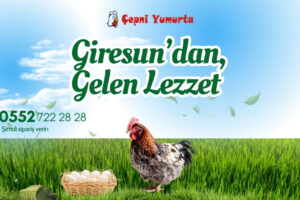 Giresun’un Doğal ve Organik Lezzeti Çepni Yumurta
