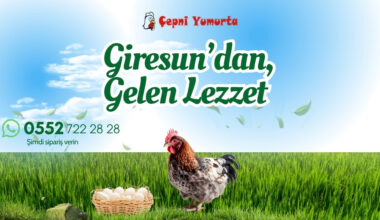 Giresun’un Doğal ve Organik Lezzeti Çepni Yumurta Giresun’un Doğal ve Organik Lezzeti Çepni Yumurta