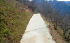 YEŞİLPINAR KÖYÜ’NDE YOL SEVİNDİ