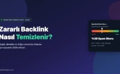 Yayın Ağı Seçerken Şeffaf Metrikler Neden Belirleyici? BacklinkAjans.com Örneği