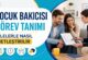 Çocuk Bakıcısı Görev Tanımı Ailelerle Nasıl Netleştirilir